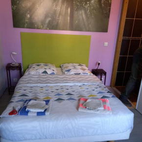 Petit studio parmi les pins et les cypres